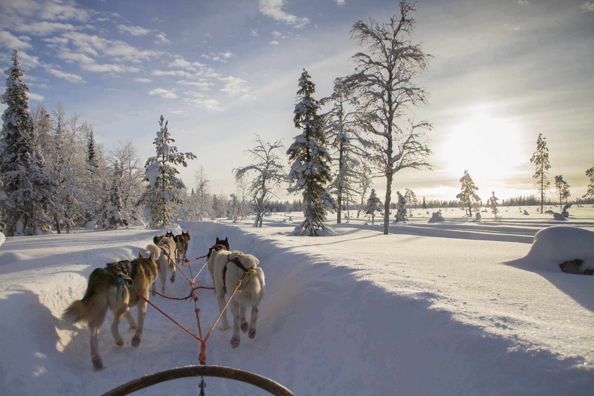 Finnisch Lappland - Abenteuer im hohen Norden 