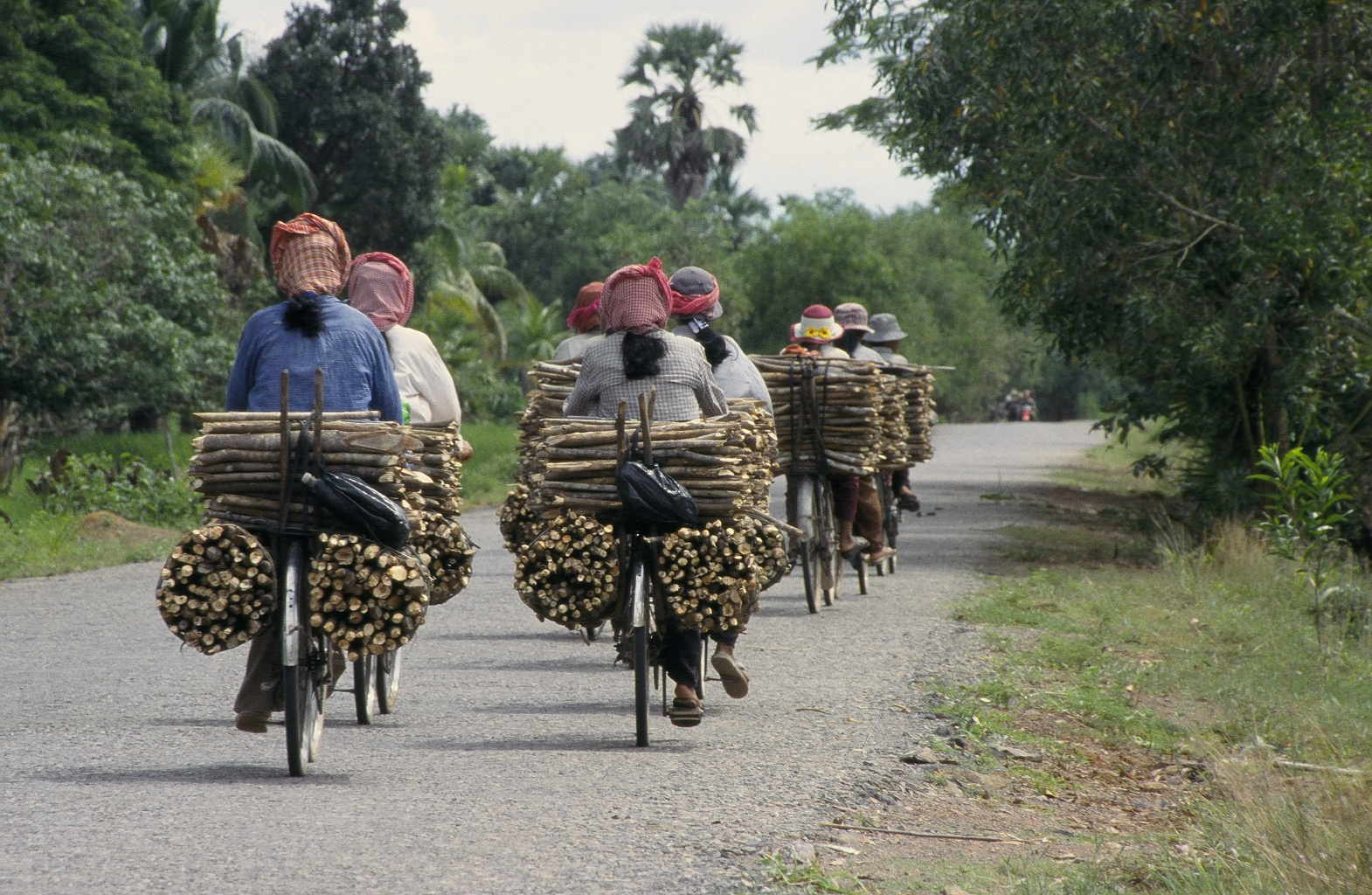 Vietnam & Kambodscha - Reisen und Artenschutz - Studienreise mit Jörg Adler